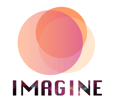 The IMAGINE project